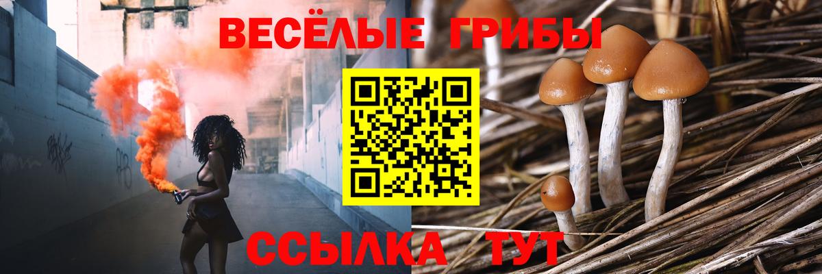 Галлюциногенные грибы ЛСД Курчалой