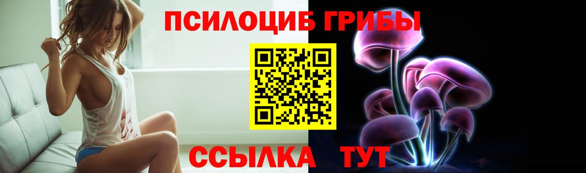 Курчалой  Галлюциногенные грибы мухоморы  Вход с VPN  Галлюциногенные грибы мицелий 