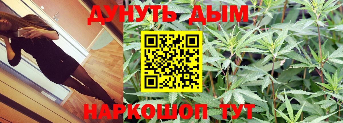 Бошки марихуана индика  Конопля сатива  Канабис VHQ  Вход с VPN  Курчалой 
