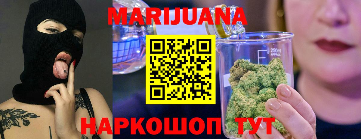 Канабис планчик Курчалой